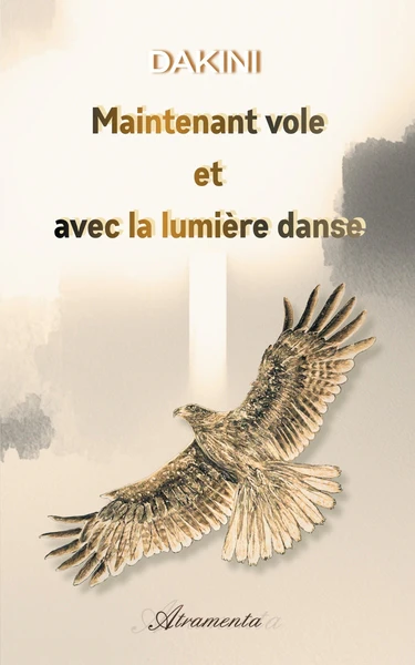 Maintenant vole et avec la lumière danse - Image 3