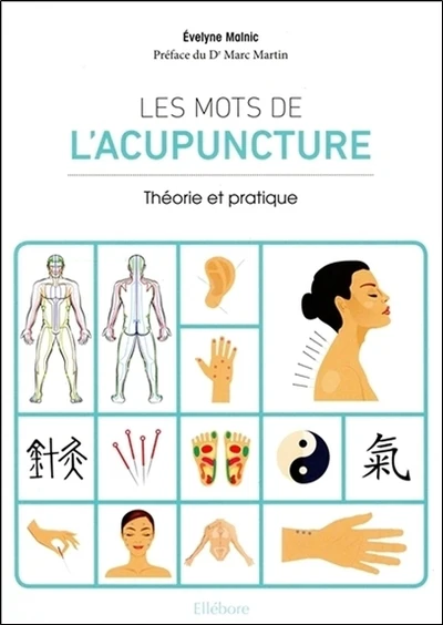 Les mots de l'acupuncture - Théorie et pratique - Image 2
