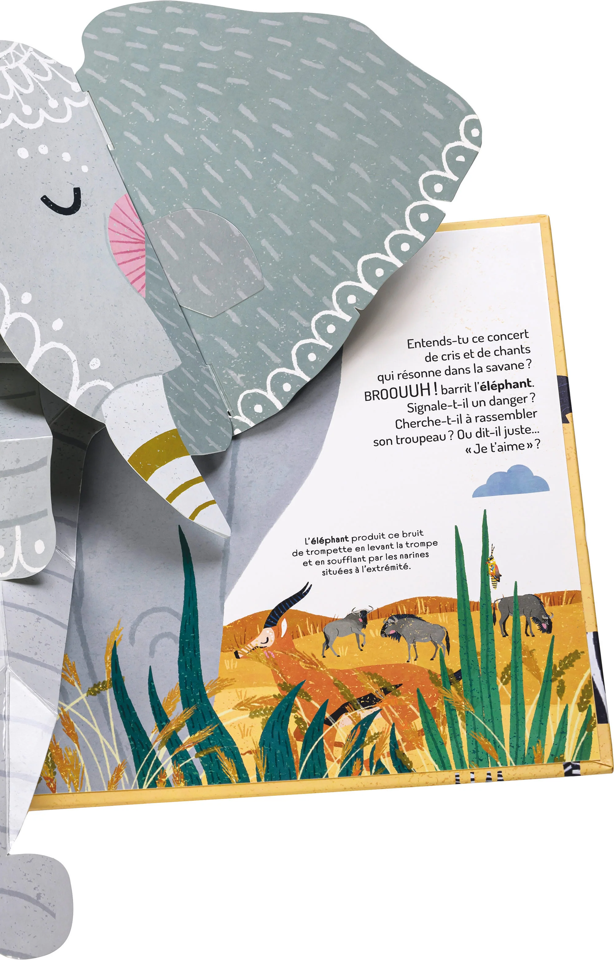 À la découverte de la savane - Un livre pop-up - Image 24