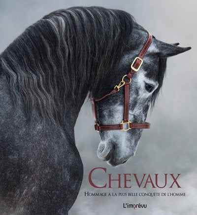 CHEVAUX - ?Hommage à la plus belle conquête de l'Homme - Image 4