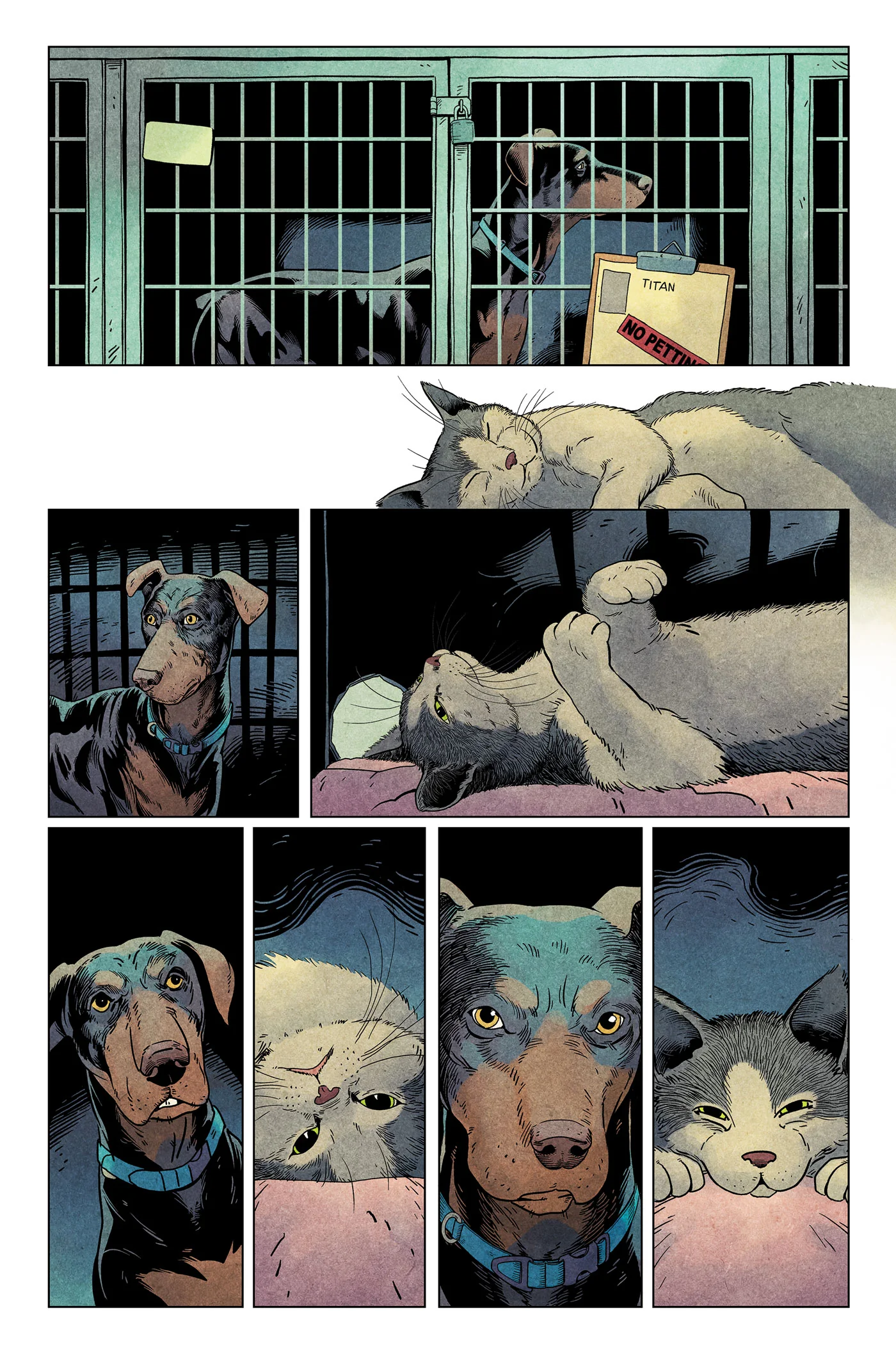 La Fourrière des animaux - Image 6