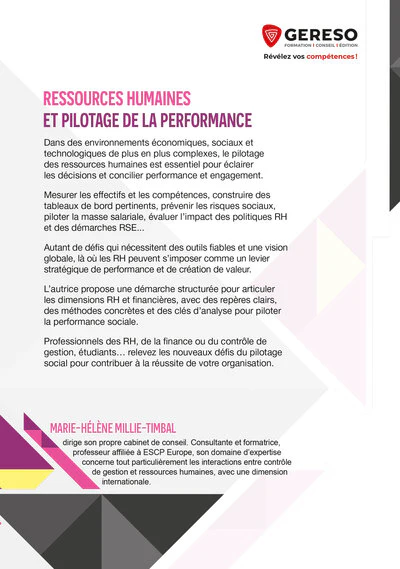 Ressources humaines et pilotage de la performance - Image 2