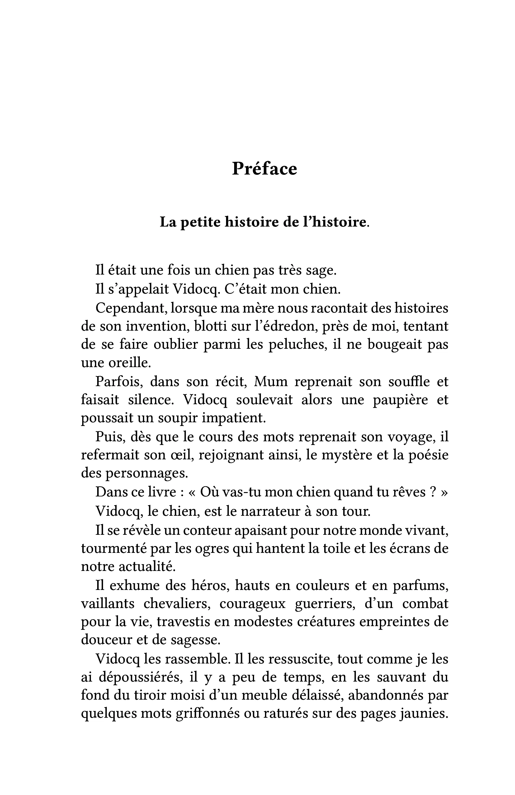 Où vas-tu mon chien quand tu rêves ? - Image 15