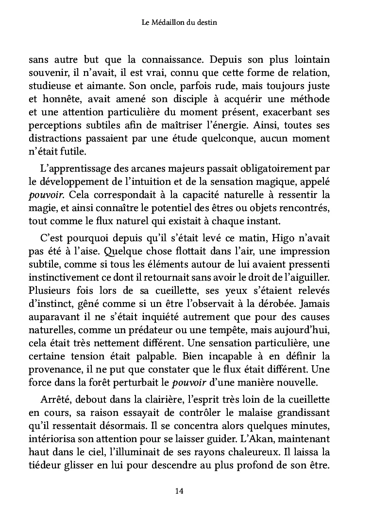 Le Médaillon du destin - Image 11
