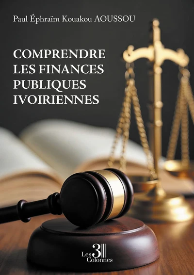 Comprendre les finances publiques ivoiriennes - Image 2