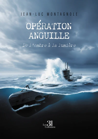 Opération anguille - Image 2