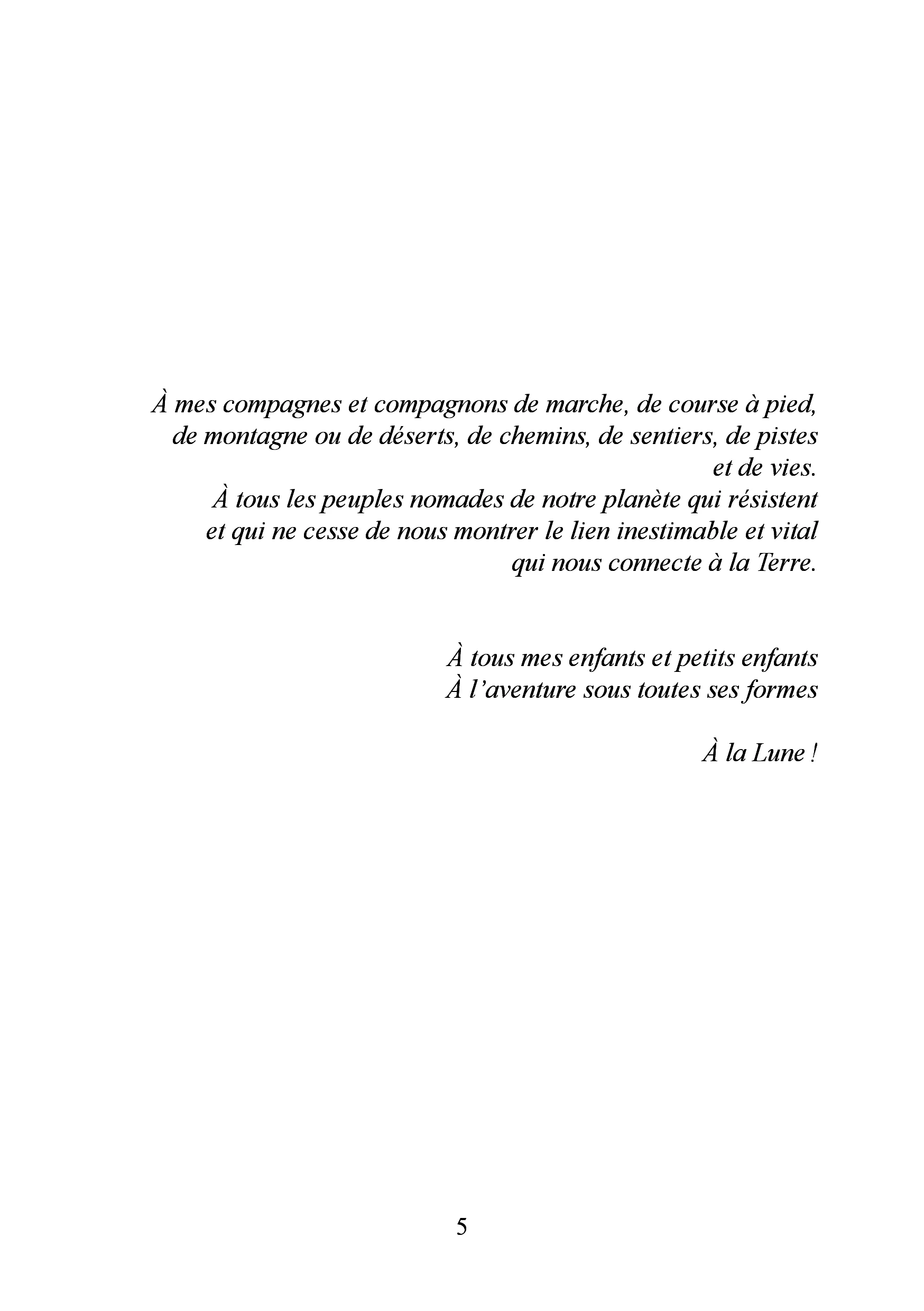 Les demi-lunes de l'Emi Koussi - Image 2