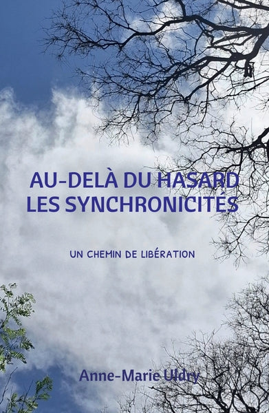 Au delà du hasard, les synchronicités - Image 12