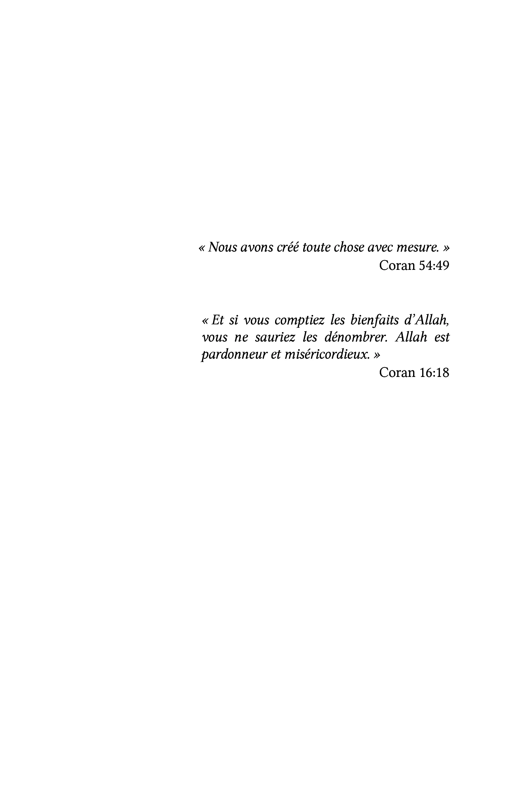 313+1 - Image 8