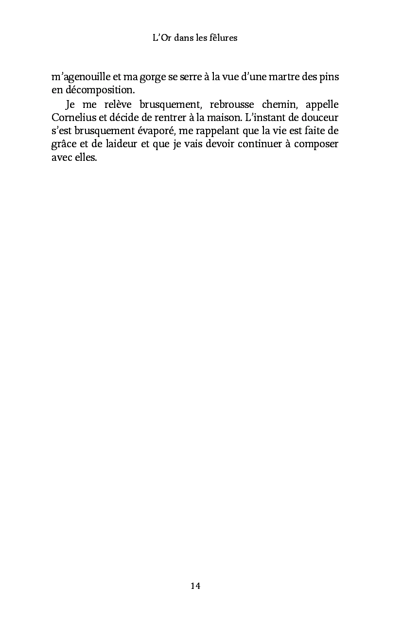 L'Or dans les fêlures - Image 11