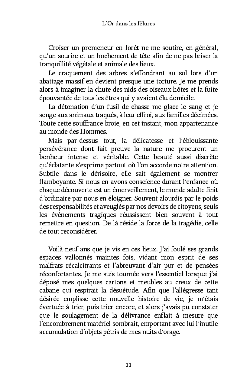 L'Or dans les fêlures - Image 41