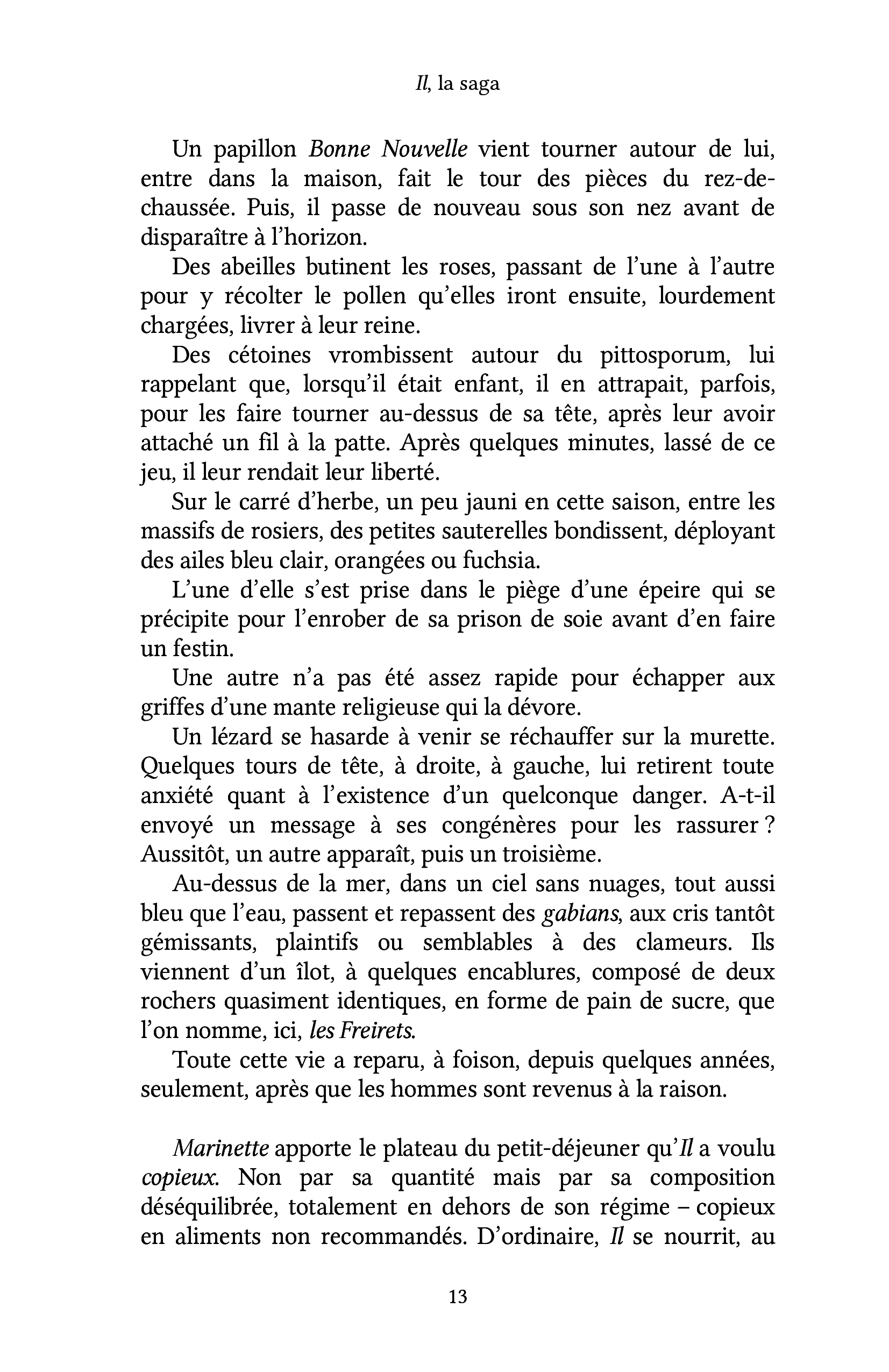 Il, la saga - Image 21
