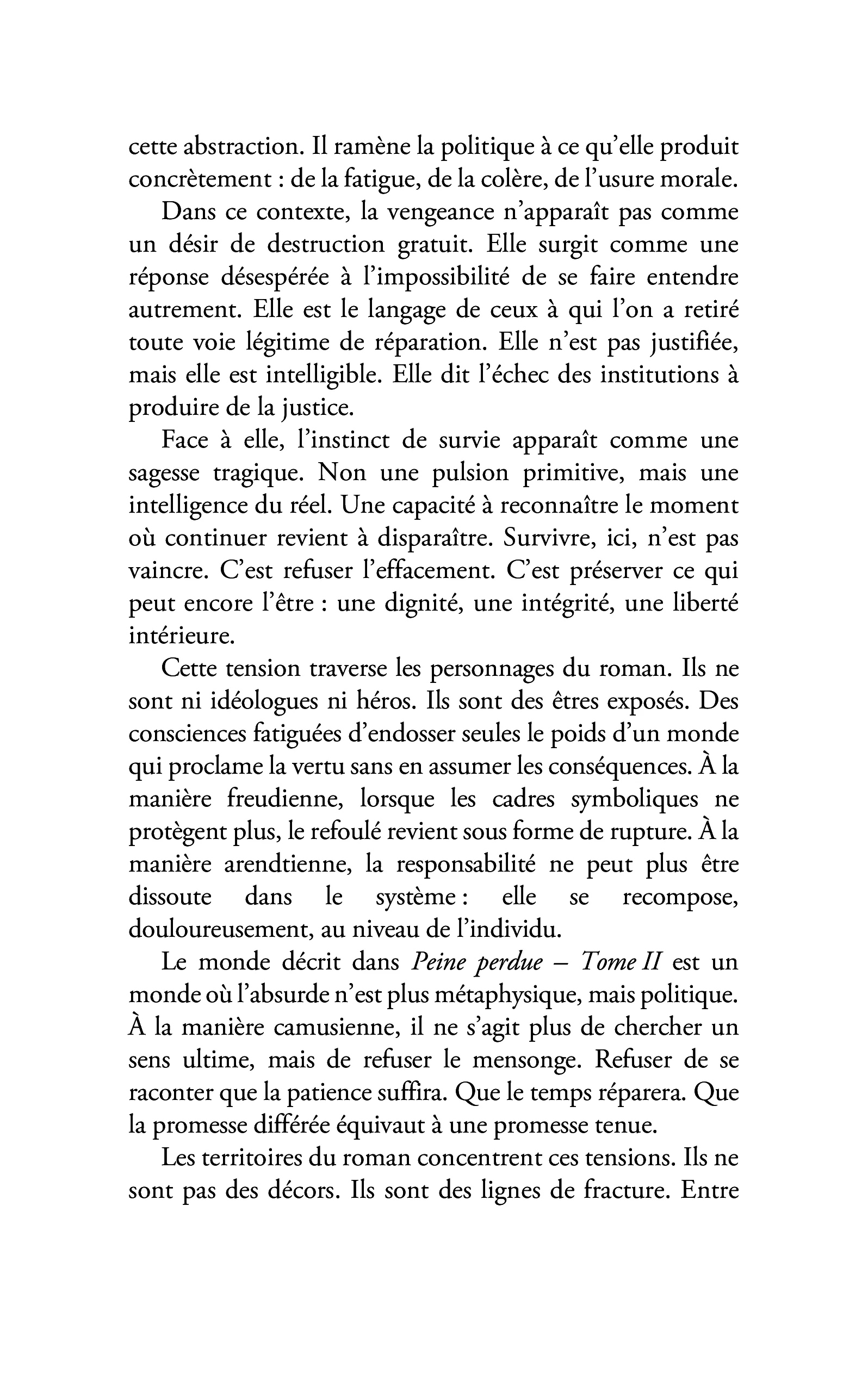 Peine perdue - Image 17
