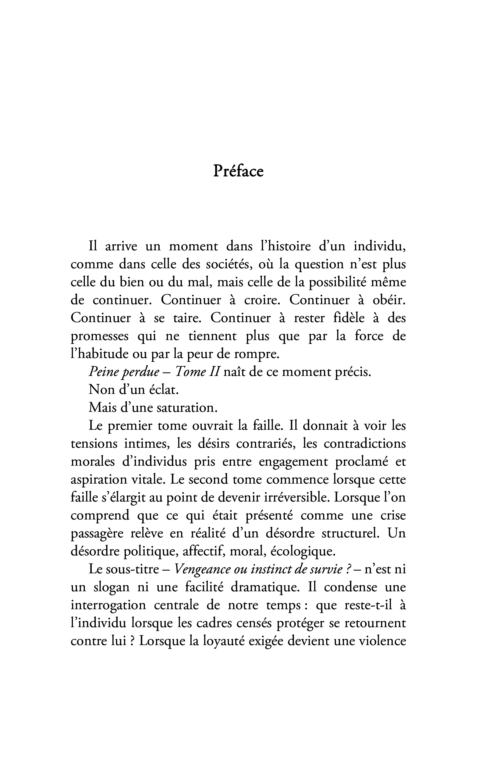 Peine perdue - Image 3