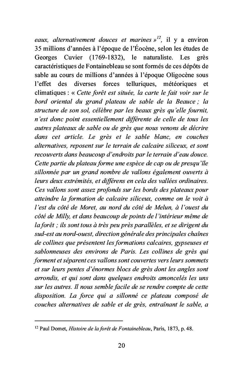 Bois-le-Roi à la lisière de la forêt - Image 16