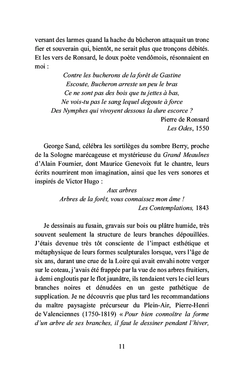 Bois-le-Roi à la lisière de la forêt - Image 61