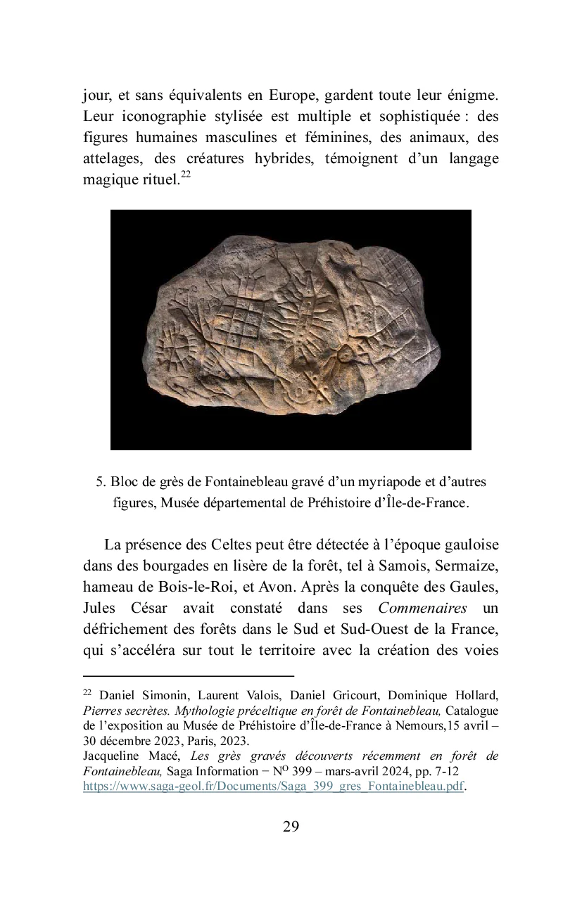 Bois-le-Roi à la lisière de la forêt - Image 79