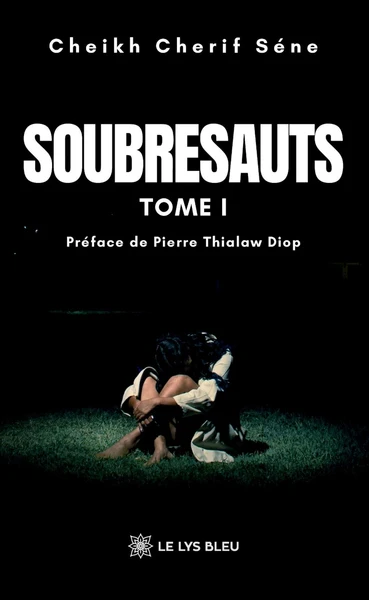 Soubresauts - Image 13