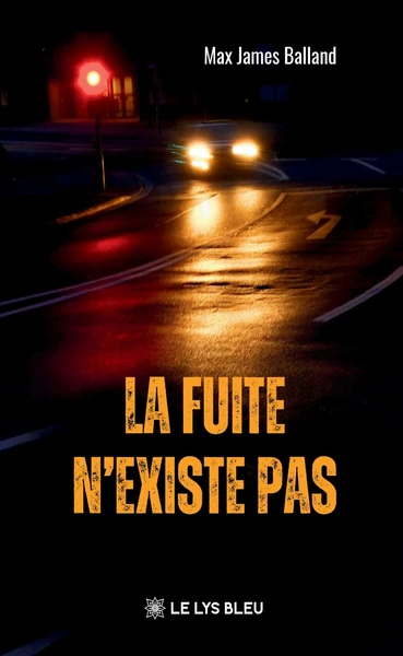 La fuite n'existe pas - Image 28