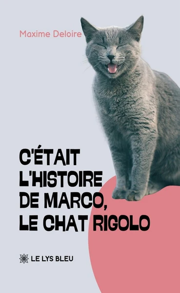 C'était l'histoire de Marco, le chat rigolo - Image 8