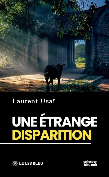 Une étrange disparition - Image 25