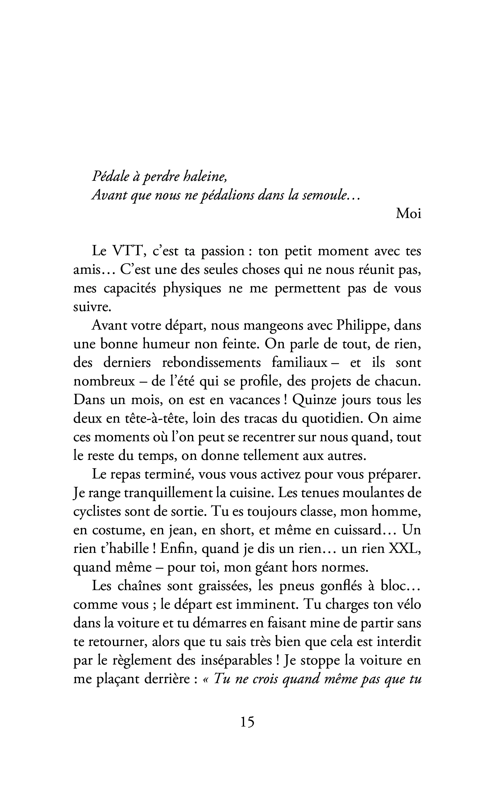 Toutes les joies sont tristes - Image 11