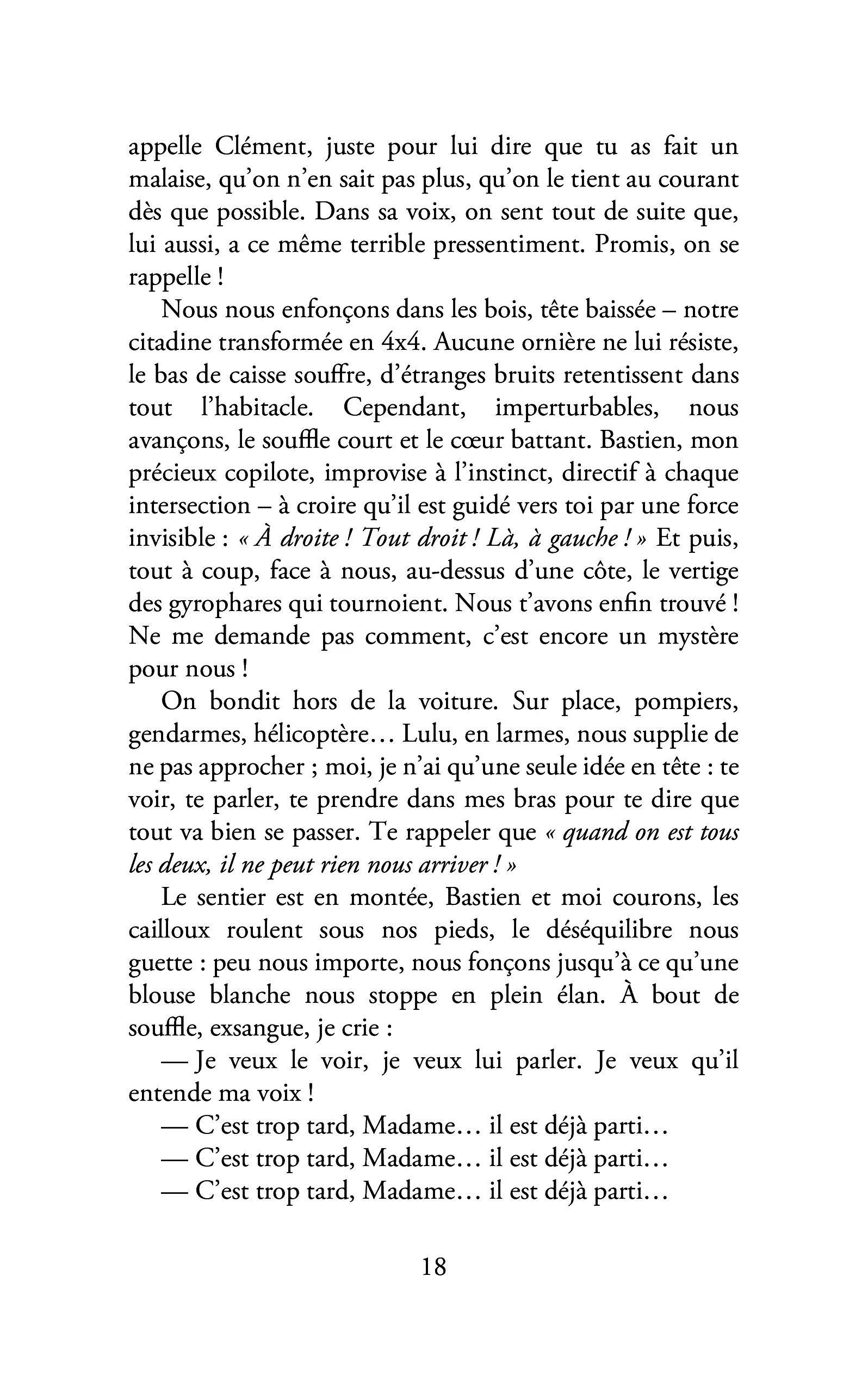 Toutes les joies sont tristes - Image 95