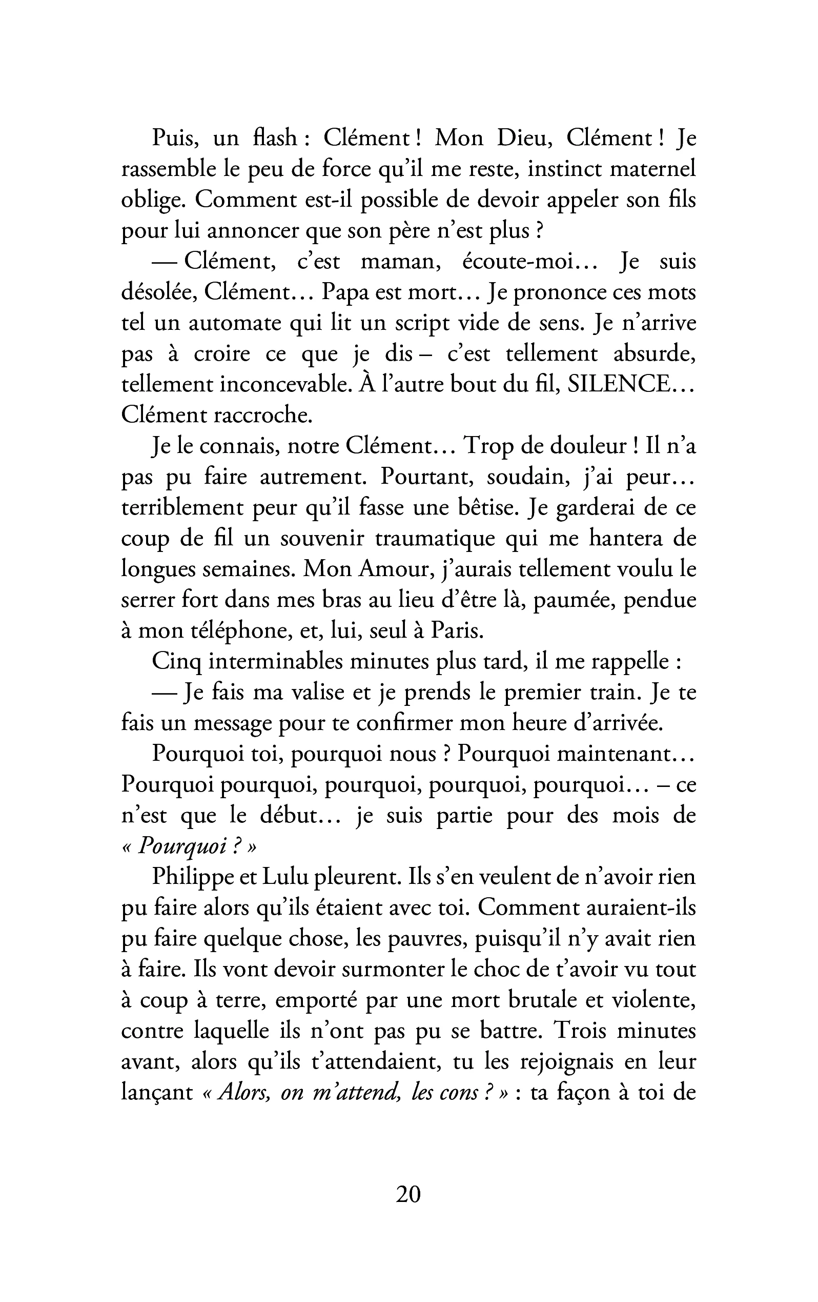 Toutes les joies sont tristes - Image 97