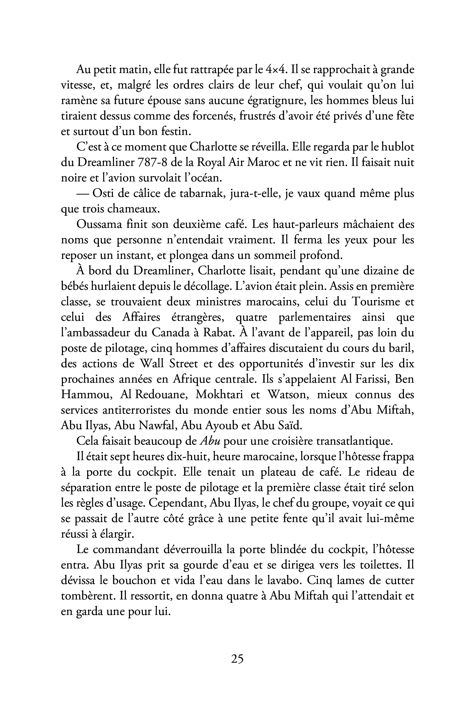 Danse avec la braise - Image 21