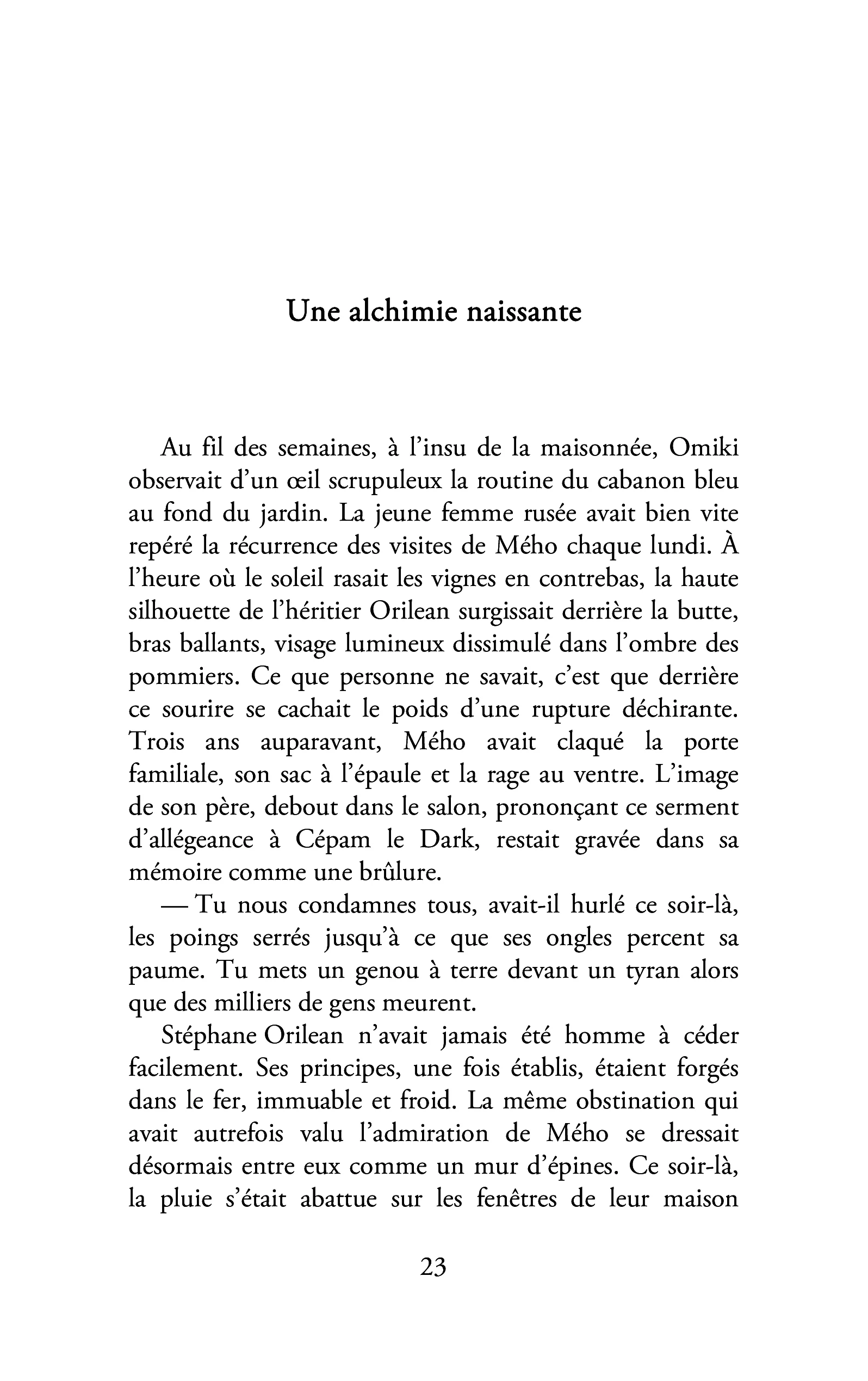 L'alchimie du dernier automne - Image 19