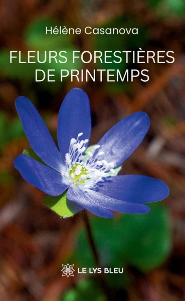 Fleurs forestières de printemps - Image 11