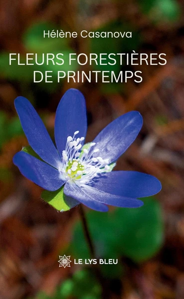 Fleurs forestières de printemps - Image 26