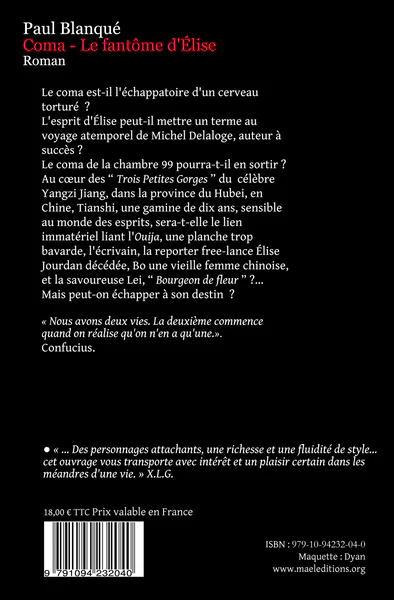 Coma - Le fantôme d'Élise - Image 2