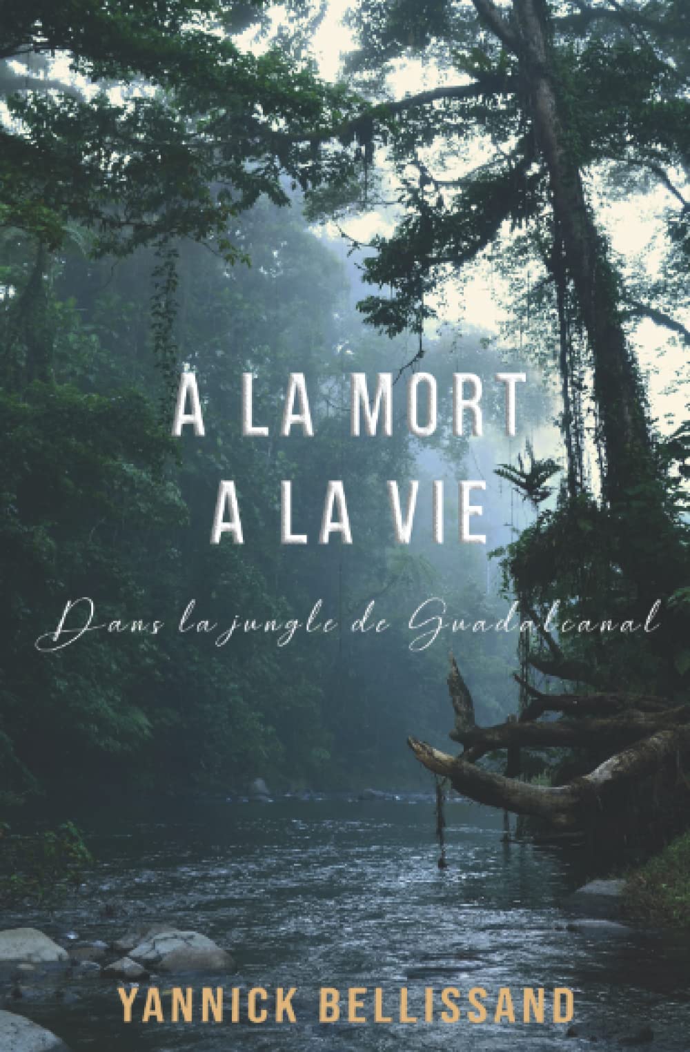 A la mort à la vie: dans la jungle de Guadalcanal - Image 3